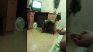 Кошка против Белого Медведя !! Жесть!