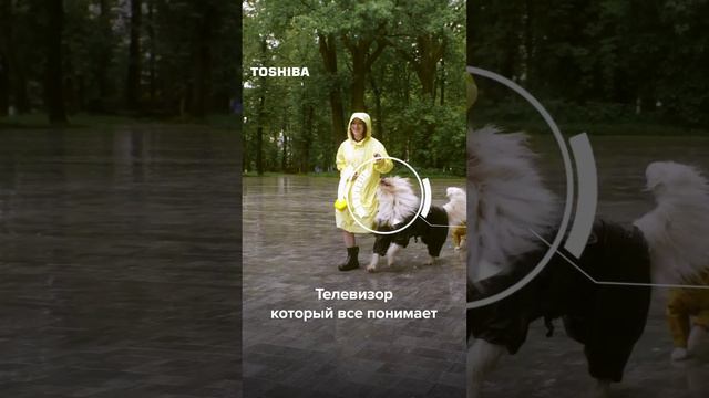 Умные телевизоры Toshiba!