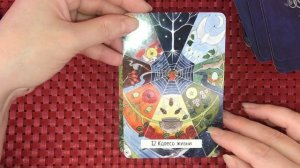 Таро Ведьм ☀️ Witches Wisdom Tarot ?. Бюджетная и милая колода, но больше оракул, чем таро.