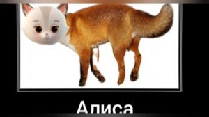 Кошечки собачки + ШИЗА =