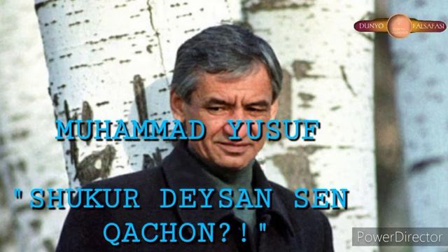 Muhammad Yusuf Sherlari