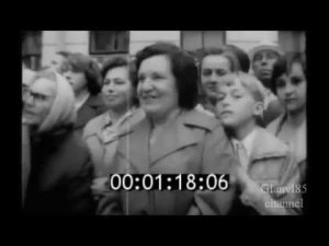 ЛВУ ЖДВ и ВОСО выпуск 1978г.
