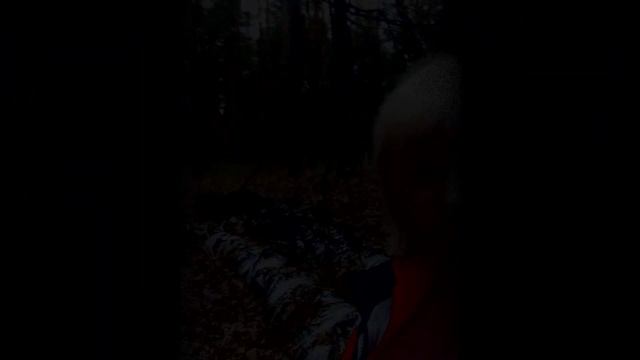 ЯМПОЛЬ.Сезон тихой охоты открыт и закрыт...Мой поход за грибами.Прогулка по лесу!!!Ямполь. смотреть онлайн