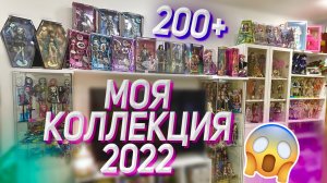 МОЯ КОЛЛЕКЦИЯ КУКОЛ 2022