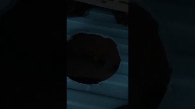 Гидропоника Аэропоника с канализационной трубы 1 часть смотреть онлайн