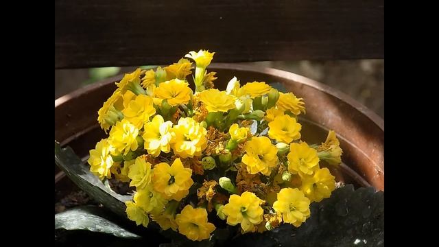 NIKON L 340 PHOTOS (FOTOS) смотреть онлайн