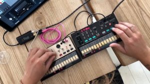 Korg volca FM & Korg volca Keys chords playing