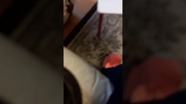 двойная ваджра на дне чаши