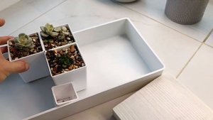 Стеллаж для суккулентов