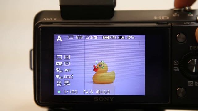 Sony NEX-3 / NEX-5 with LA-EA1 adapter test (with DT 35mm f/1.8 SAM) смотреть онлайн