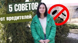 5 СОВЕТОВ ЧТО БЫ НАВСЕГДА ЗАБЫТЬ О ВРЕДИТЕЛЯХ В САДУ И ОГОРОДЕ ✔️ Сад БЕЗ химии ✔️ Советы от Хитсад