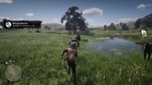 Get RARE Silver Dapple Pinto Missouri Fox Trotter FREE & EASY! - RDR2
