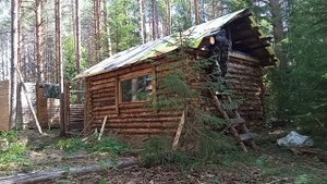 Строил дом в лесу и тут ГОСТИ! Мусор в ДЕЛЕ! Как строить ИЗБУ из валежника? DIY.