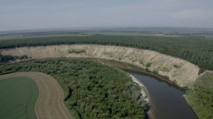 Кривоборье с. Емань Воронежская обл. 2019