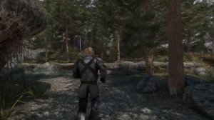 Skyrim's Best Combat Animation Mods