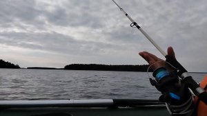 Судак - это не горбуша...первый день нашей трехдневной рыбалки на Выгозере #рыбалка #карелия
