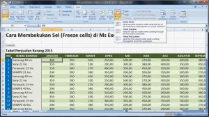 Cara Menggunakan Perintah Freeze Panes di Ms Excel|Excel 2007 tutorial