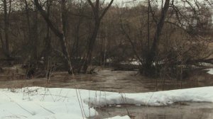 4 минуты 30 секунд апрельского течения реки под козлиные вопли