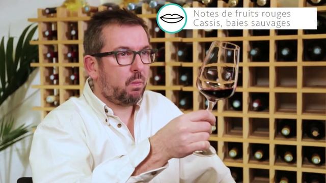 Domaine du Beauregard Maranges Côtes de Beaune 2019 смотреть онлайн