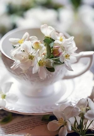 Доброго Вам Дня! Красивое Пожелание!