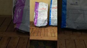 Русский черный терьер: Кормление