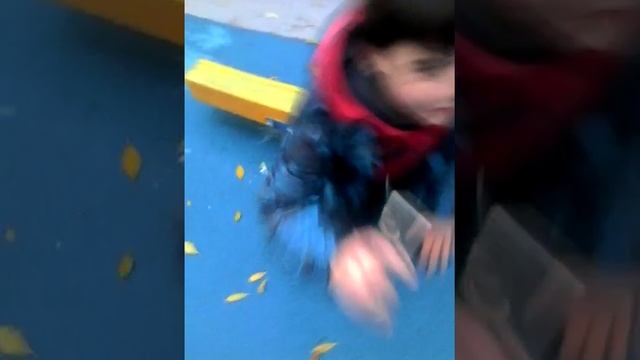 Мегаладон меня столкнул смотреть онлайн