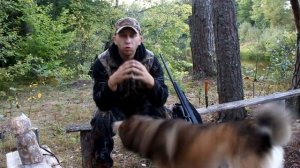 Блог лесной №3. Техника подманивания лосей во время гона.