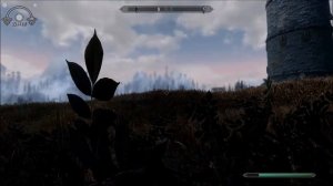 Skyrim SE Mods:Sin Xtreme Realism Enb V331