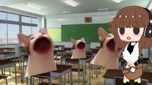 мама меня отправила кормить курей : цип цип цип