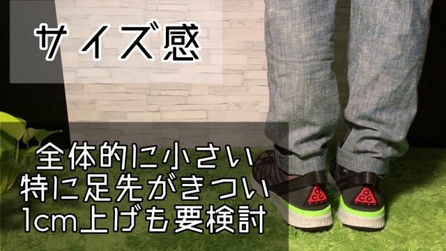 【スニーカーレビュー】履いてみてほしい一足!!ヘビロテ確実なACG!!毎日スニーカー買ってみた９【NIKE ACG REACT TERRA GOBE】 смотреть онлайн