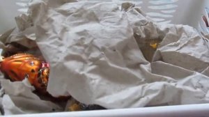 ВЛОГ: Новая стрижка. Размусоривание специй по Flylady за 15 минут. Погода. Новогодние игрушки.