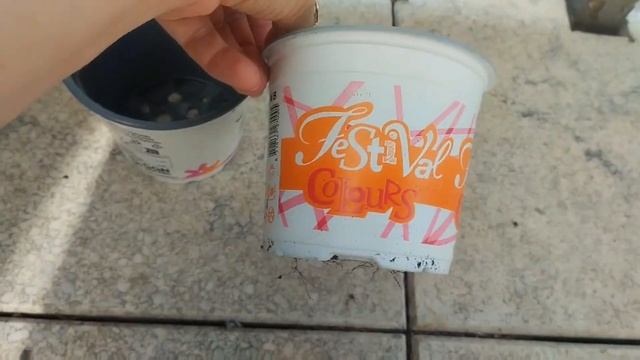 Цветы и бизнес. Как обойти посредника и выйти на производителя с  наилучшими ценами. смотреть онлайн