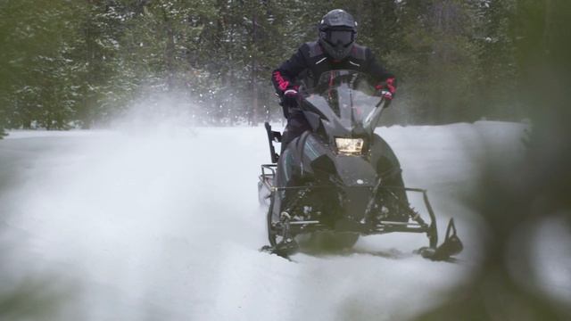 2024 Transporter Lite 2UP смотреть онлайн