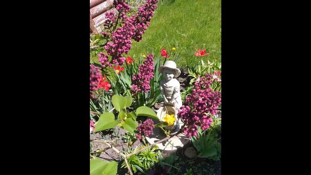 Kai kvepia alyvos😊👍🌸🌸🌸 Когда пахнут сиренью смотреть онлайн