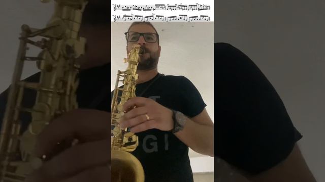 J. S. Bach - Partita in A Minor for Solo Flute Eb Alto Saxophone смотреть онлайн