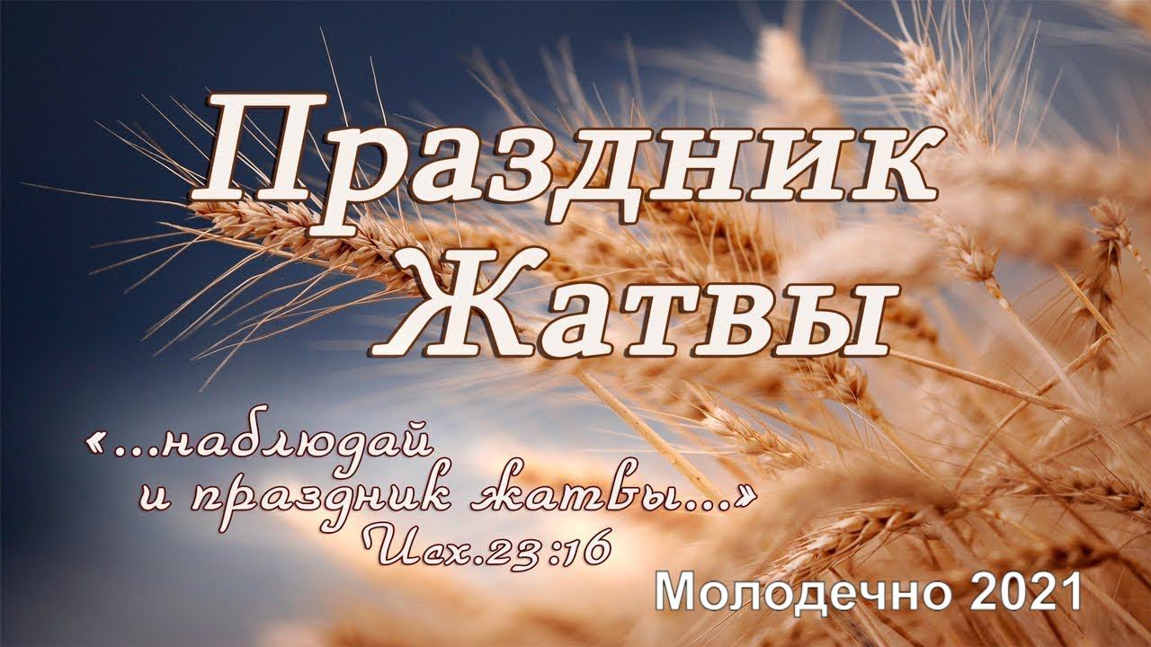 ЖАТВА | Молодечно