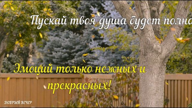 Добрый Осенний Вечер!  Душевное Пожелание! Доброго Вечера и Спокойной Ночи! Открытка!