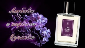 Весна круглый год! Une Nuit Nomade Love At First Sight/Цветы сирени и шарики мимозы.