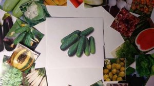 Скороспелые вкусные огурцы с отличными засолочными качествами. Сорт профи f1