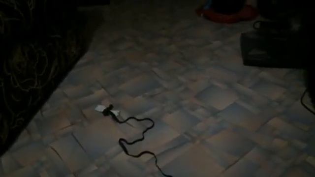 Кот подводник и очень скучает по хозяину смотреть онлайн