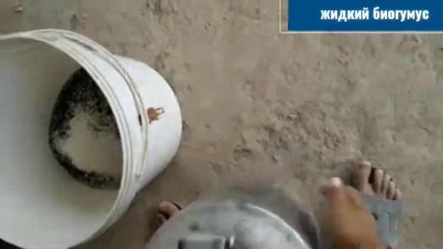 жидкий биогумус таёрланиши смотреть онлайн