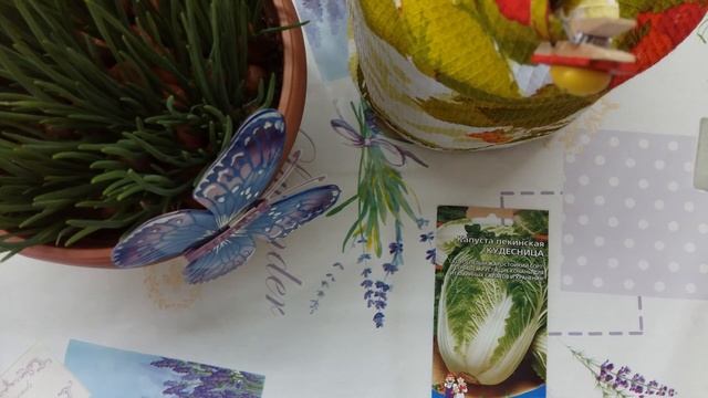 Выращивание пекинской капусты: основы и секреты урожая . смотреть онлайн