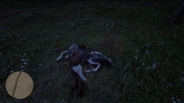 Red Dead Redemption 2 неустойчивая лошадь ) смотреть онлайн