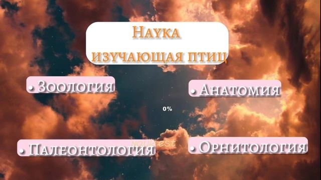 ТЕСТ по БИОЛОГИИ. Биологические дисциплины. смотреть онлайн