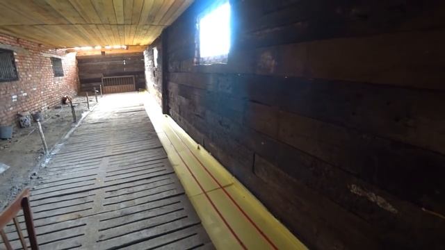 Рацион для свиноматок смотреть онлайн