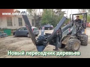 Пересадчик деревьев