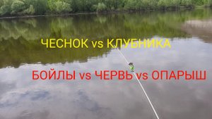 СРАВНИВАЕМ ПРИКОРМКИ И НАЖИВКИ НА ДЕЛЕ. РЫБАЛКА НА ДОНУ.