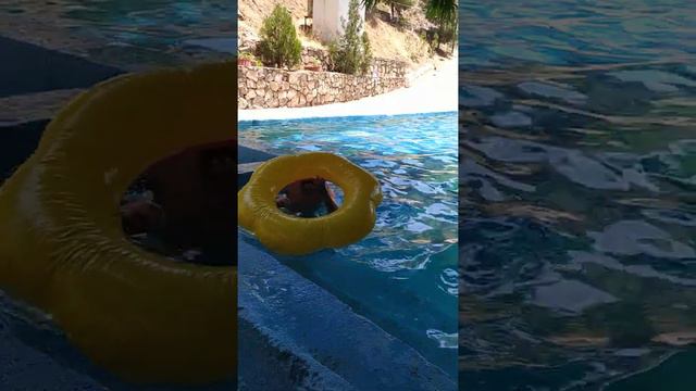 Отдых с семьёй Варзоб лето 2021. смотреть онлайн