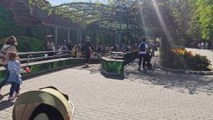 Московский зоопарк, обзорное видео от 13 мая 2023 г. Прогулка в субботу по Московскому зоопарку????