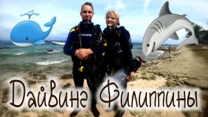 Говорящая рыба , дайвинг Филиппины , screaming fish, diving Philippines